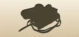 Camera silhouette