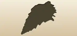 Shell silhouette
