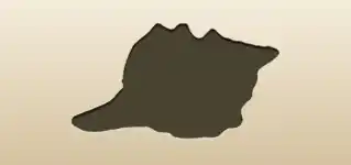 Shell silhouette
