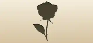 Rose silhouette