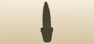Cactus silhouette