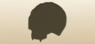 Skull silhouette
