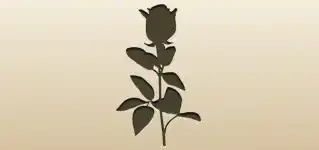 Rose silhouette