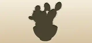 Cactus silhouette