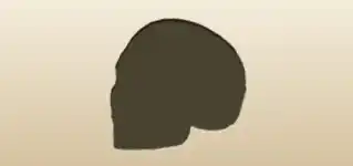 Skull silhouette