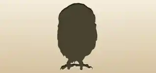 Owl silhouette