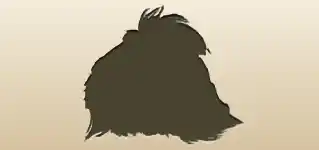 Guinea Pig silhouette