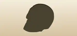 Skull silhouette