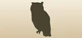 Owl silhouette