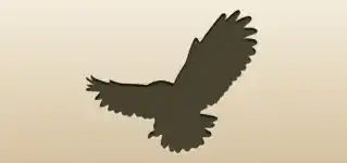 Owl silhouette