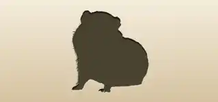 Guinea Pig silhouette