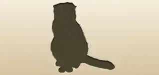 Cat silhouette
