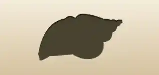 Shell silhouette