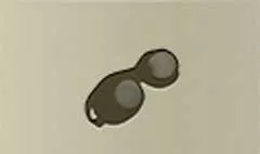 Goggles