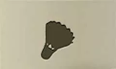 Shuttlecock