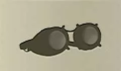 Goggles