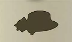 Women's Hat
