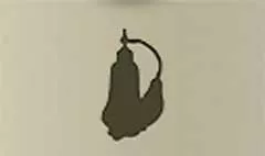 Perfume Bottle