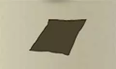 Cushion