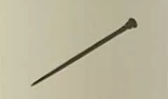 Cane