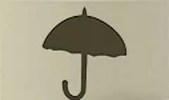 Umbrella