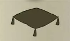 Cushion