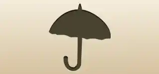 かさ