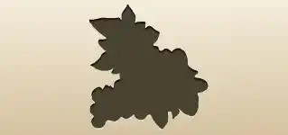 ブドウ