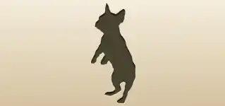 イヌ