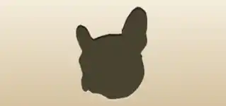 イヌ