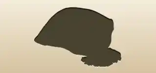 袋入りの塩