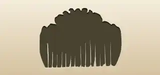 くし
