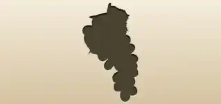 ブドウ