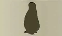ペンギンのシルエット