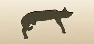 Cat silhouette