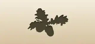 Acorns silhouette