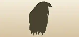 Owl silhouette