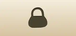 Handbag silhouette
