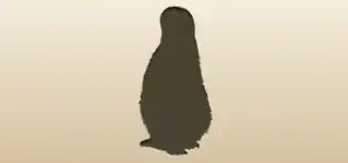 Penguin silhouette
