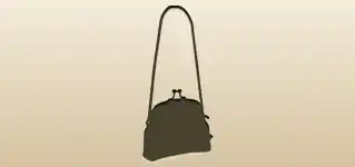 Handbag silhouette