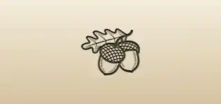 Acorns silhouette