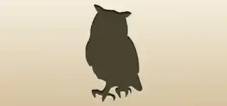 Owl silhouette
