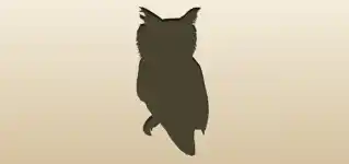 Owl silhouette