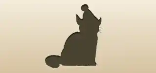 Cat silhouette