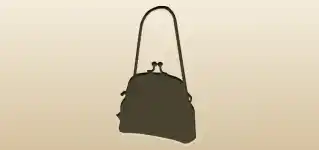 Handbag silhouette