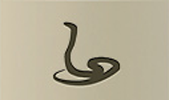 Snake silhouette #1