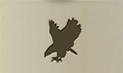鳥