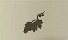 ブドウ