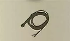 ムチ