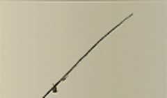Fishing Rod silhouette